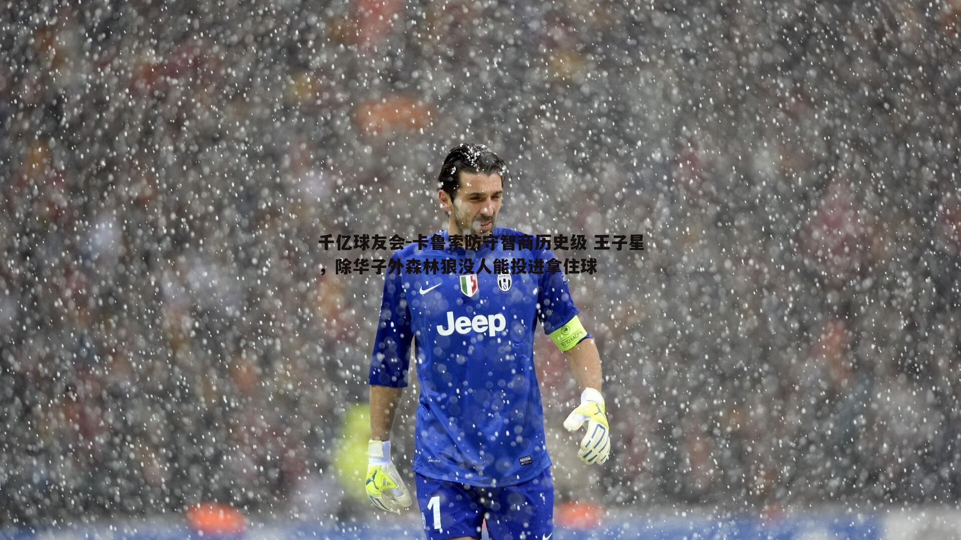 卡鲁索防守智商历史级 王子星,除华子外森林狼没人能投进拿住球